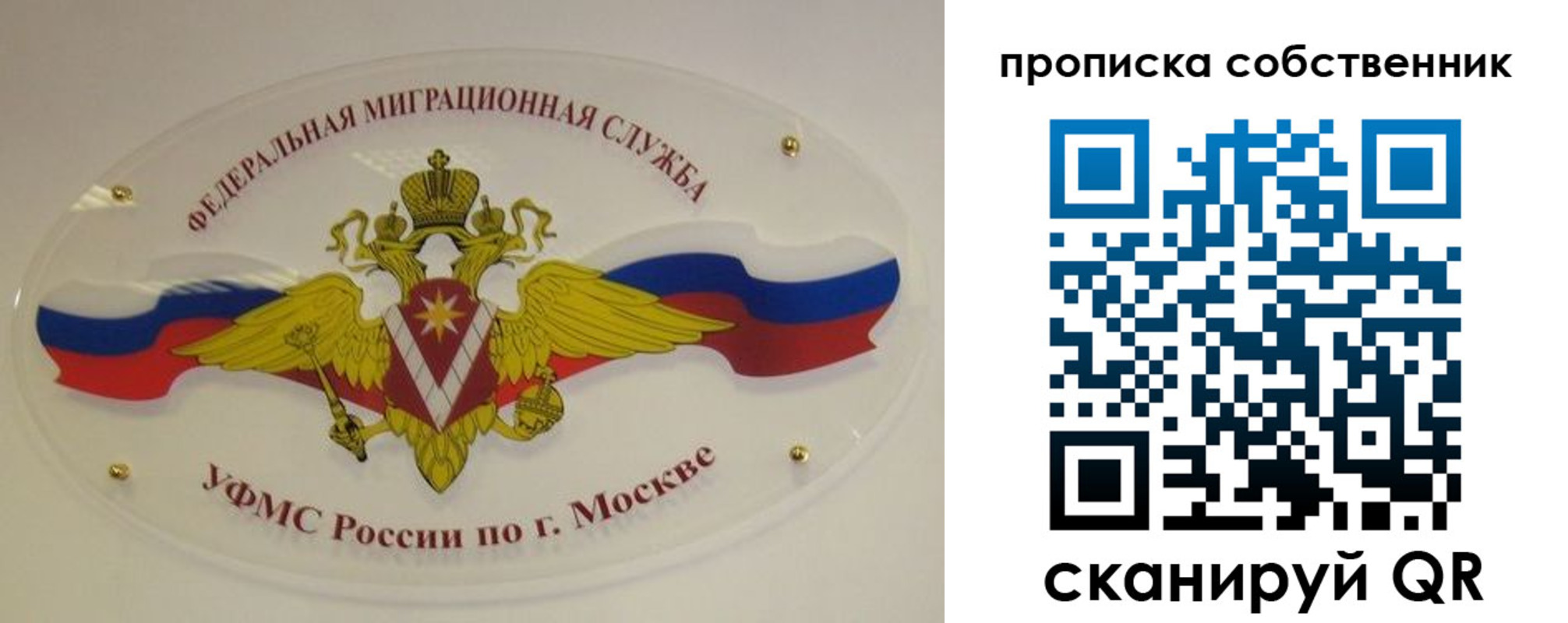 прописка 2025 в Борисоглебске
